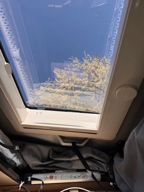 Dethleffs Globetrail 600 DS – Bild 11